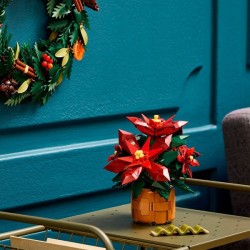 Weihnachtsstern