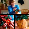Weihnachtsstern