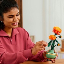 Chrysantheme