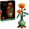 Chrysantheme