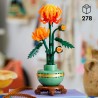 Chrysantheme