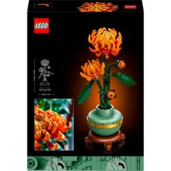 Chrysantheme