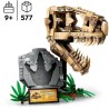 Dinosaurier-Fossilien: T.-Rex-Kopf
