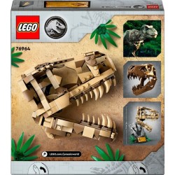 Dinosaurier-Fossilien: T.-Rex-Kopf