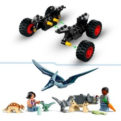 Rettungszentrum für Baby-Dinos