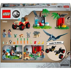 Rettungszentrum für Baby-Dinos