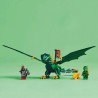 Lloyds grüner Walddrache