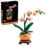 Mini-Orchidee