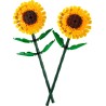 Sonnenblumen