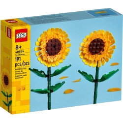 Sonnenblumen