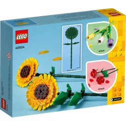 Sonnenblumen