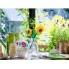 Sonnenblumen