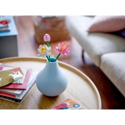 Lotusblumen
