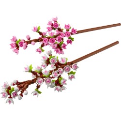 Kirschblüten