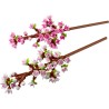 Kirschblüten