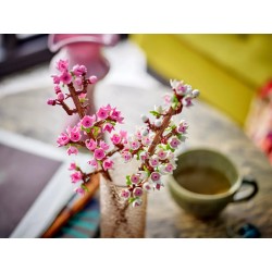 Kirschblüten