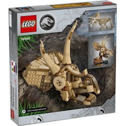 Dinosaurier-Fossilien: Triceratops-Schädel