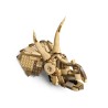 Dinosaurier-Fossilien: Triceratops-Schädel