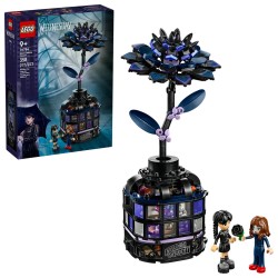 Schwarze Dahlie