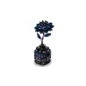 Schwarze Dahlie