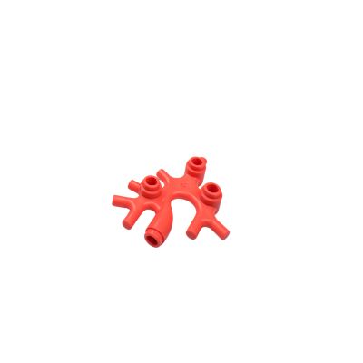 49577 Plant Thallus/Seaweed/Coral - Coral