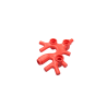 49577 Plant Thallus/Seaweed/Coral - Coral